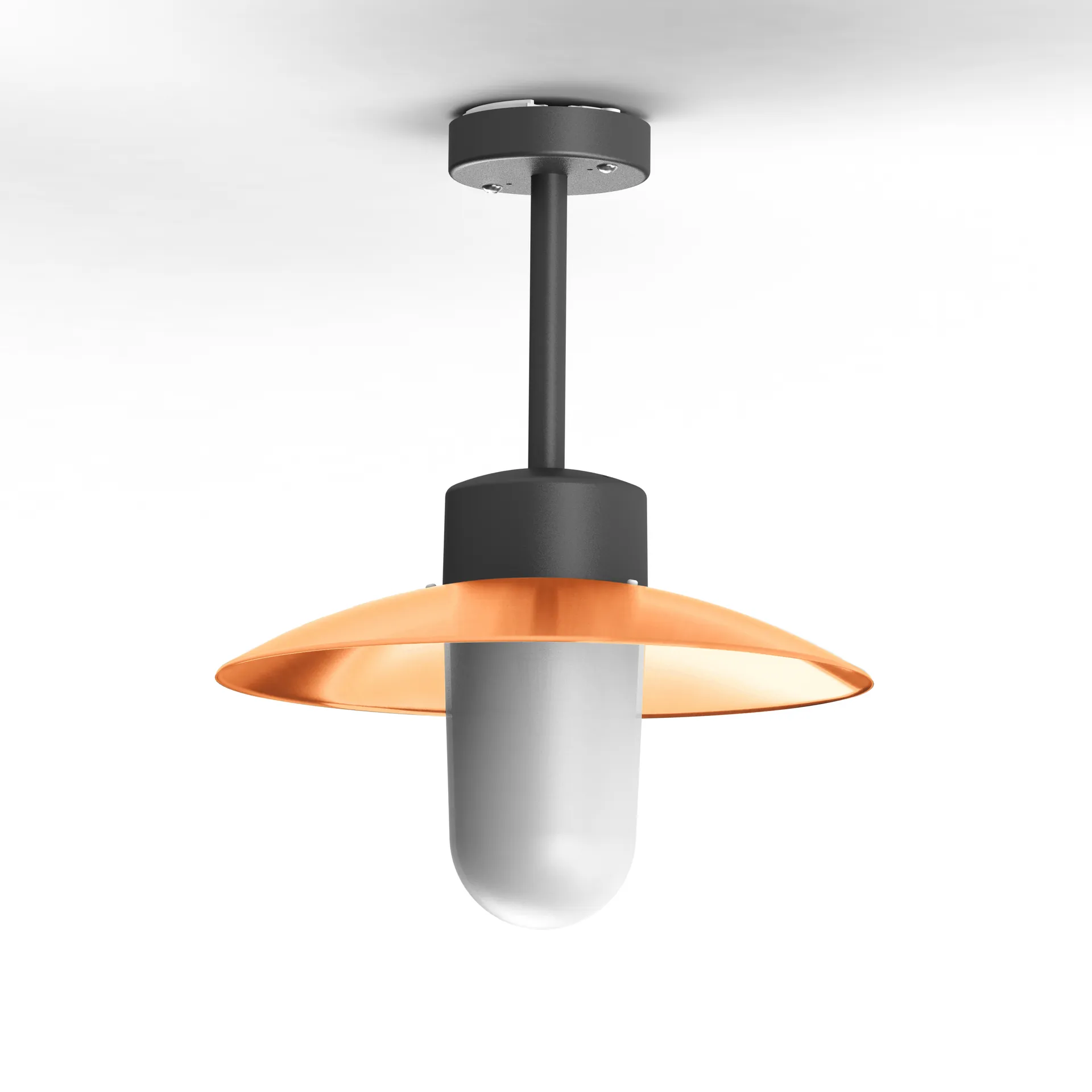 Image du produit 19