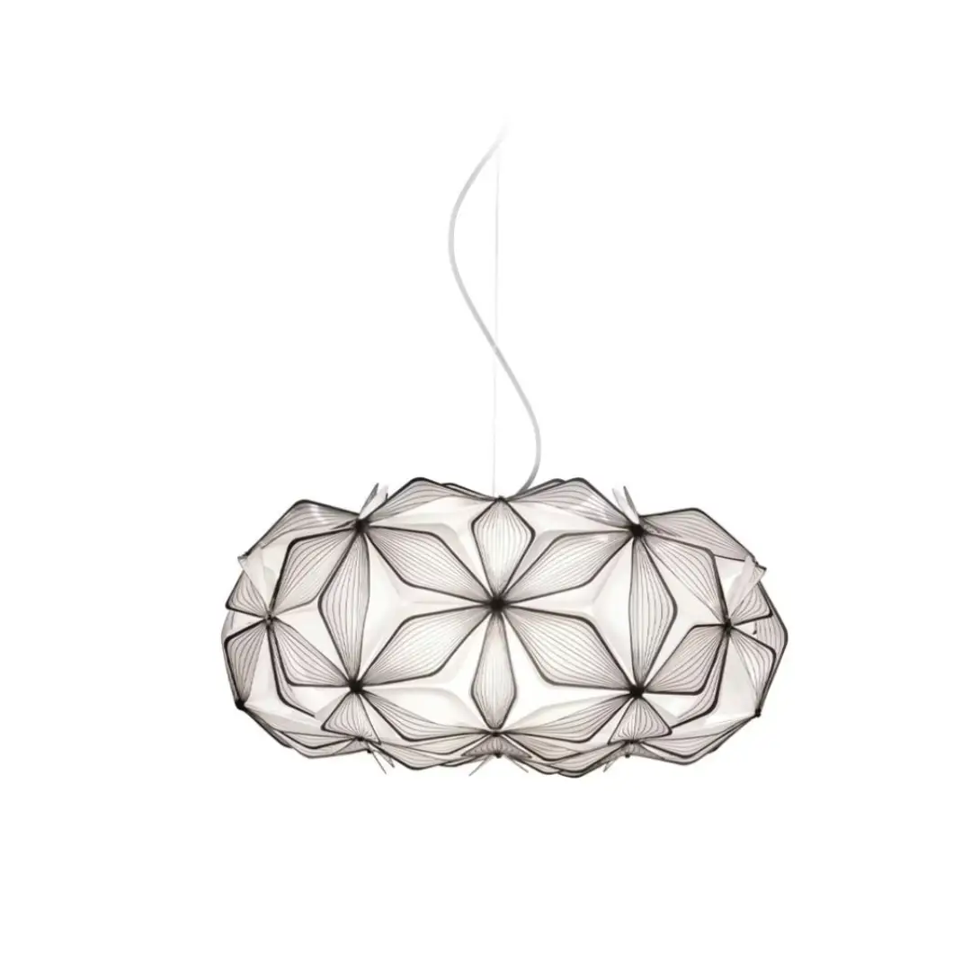 Image du produit 12