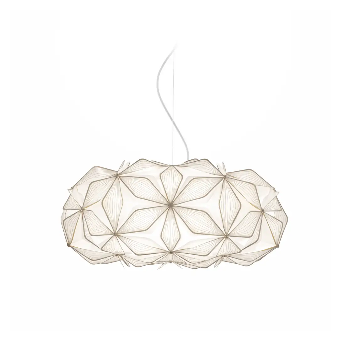 Image du produit 13