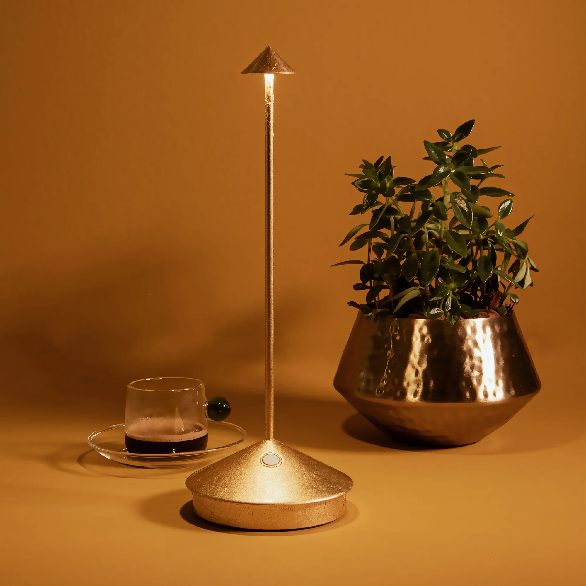 Image du produit 13