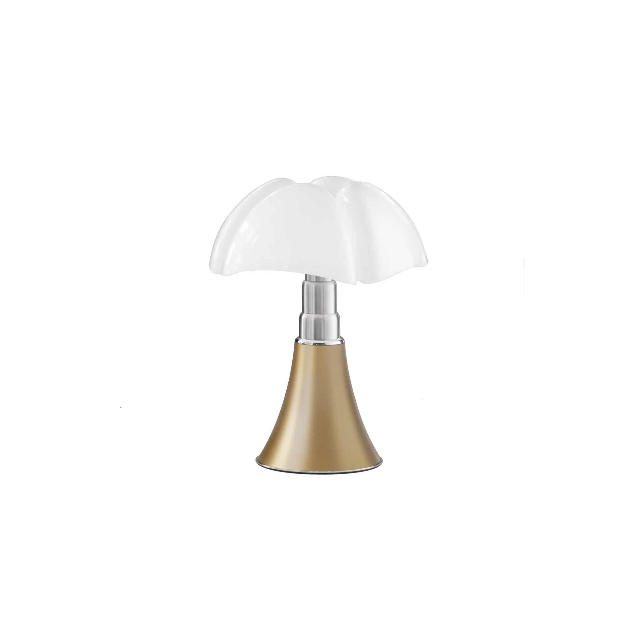 Image du produit 13
